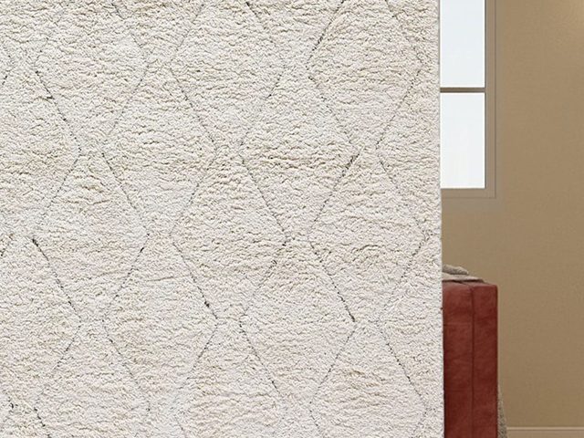 Beni Ourain Rug with Vintage Moroccan Style – photo 6