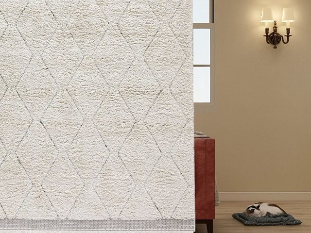 Beni Ourain Rug with Vintage Moroccan Style – photo 7