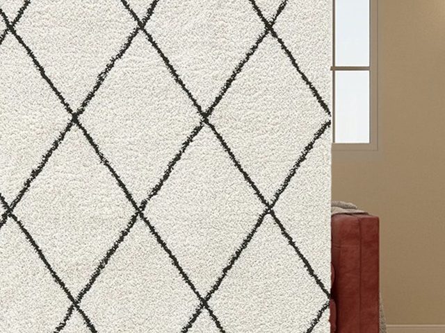 Moroccan Beni Ourain Rug with Black Lines – photo 5