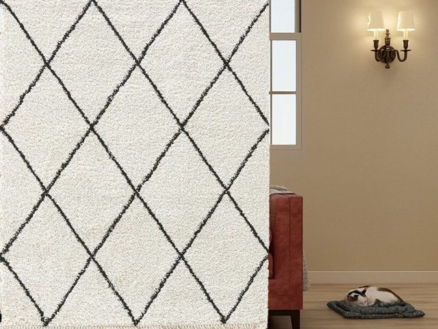 Moroccan Beni Ourain Rug with Black Lines – photo 6